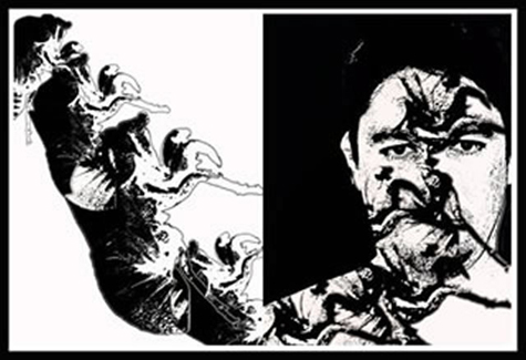 Cicada Transformation Cicada Transformation