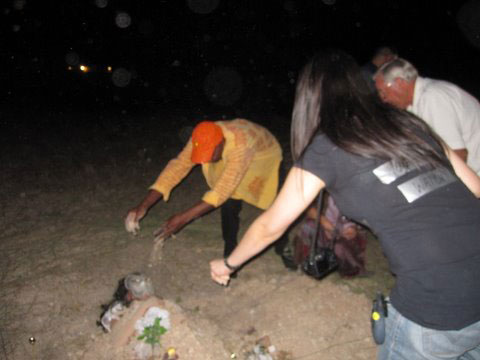 Audience Participation