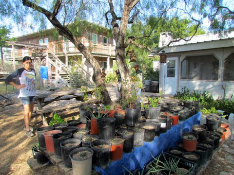 Ranch House and Native Plants