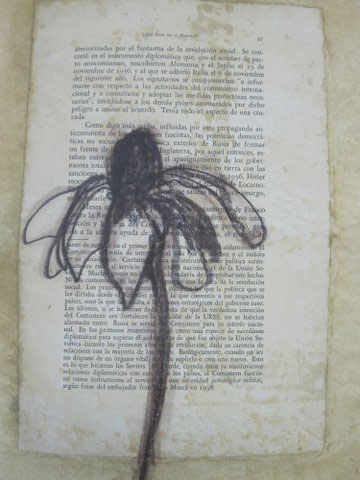 Paul Veladez "Cone Flower"