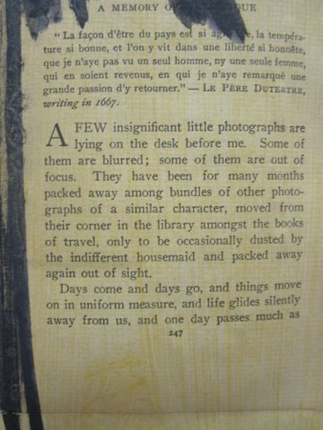 Paul Veladez "Palm" close up