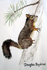 Douglas Squirrel Tile by Mary P Williams