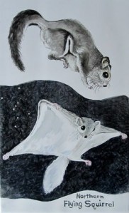 Flying Squirrel Tile by Mary P Williams