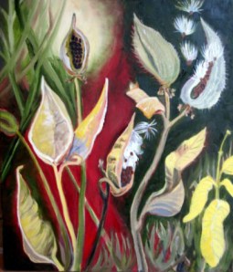 Milkweed by Mary P Williams