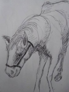 Pebbles, by Mary P. Williams