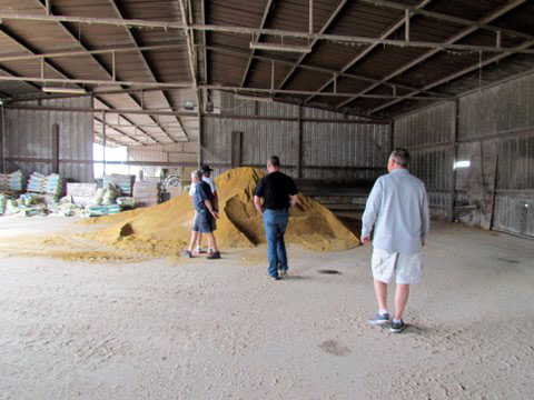 Dried & Ground Fruit
