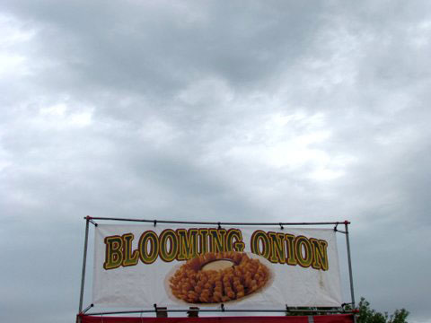 Blooming Onion Sign/Cloudy Day