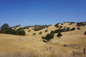 California Golden Hills