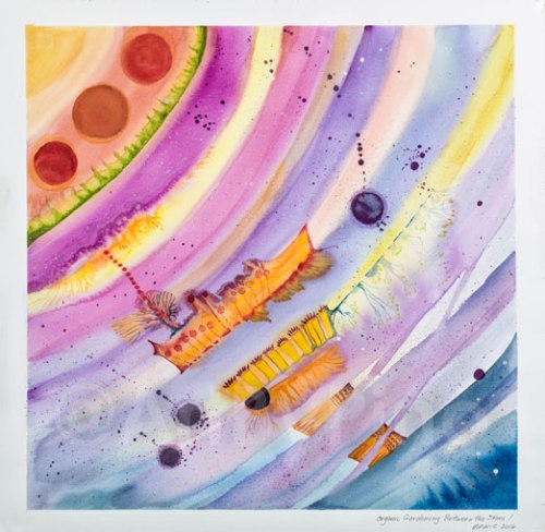 Organic Gardening Between Stars, by Mary P Williams. Framed (metal) with double matting $850