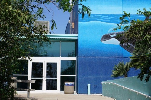 The door of the South Padre Island Convention Center