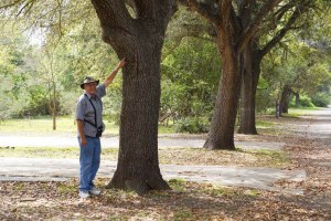 D. L. points to the location of the butterfly