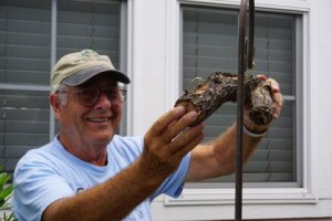 D.L. and his newly made butterfly feeder