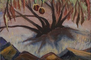 California Buckeye Tree