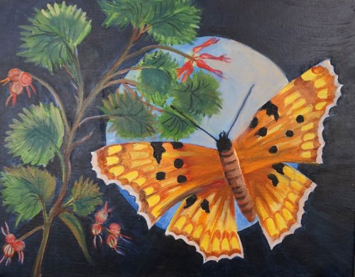 Summer Butterfly and the Moon