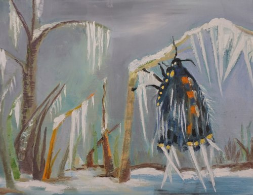 Winter Butterfly