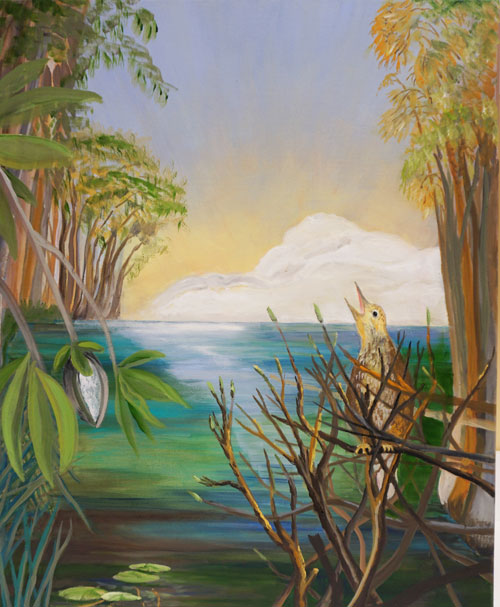 Zapata Wren by Mary P Williams