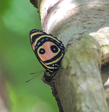 Two Eye Eighty Eight