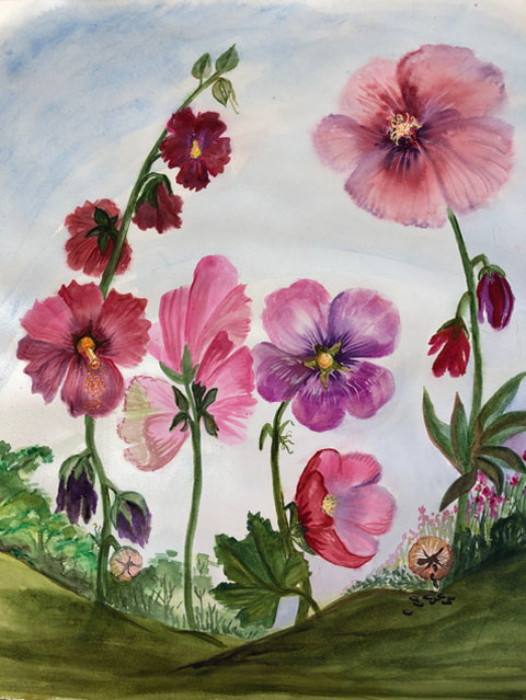 Hollyhocks